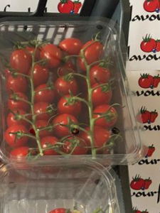 Produce Pamper Boxes Tomatoes