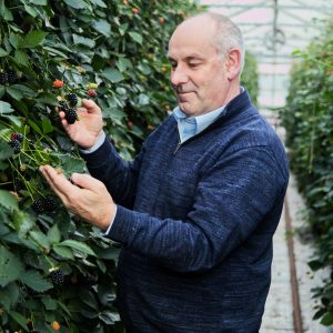 Kevin Reeves Head of Soft Fruit Production Flavourfresh