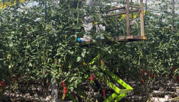 Nic Van Roosmalen visits Flavourfresh 2020