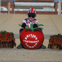 Our very own cherry tomato mini-mascot for British Tomato Fortnight 2021
